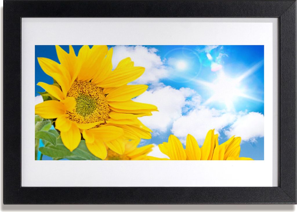 Bild 30x20 MDF-Rahmen Wandkunst Blumen Pflanzen Natur