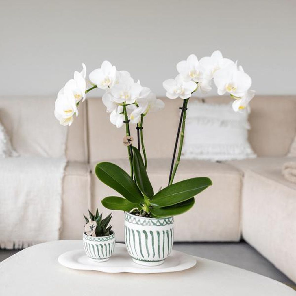 Topf Ø6cm Dekorativer Blumentopf aus Keramik im mediterranen Stil Glasiertes