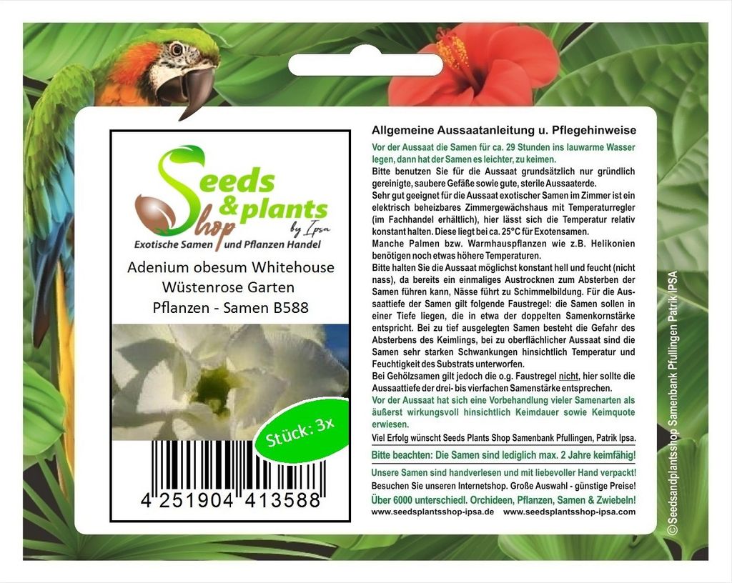 3x Adenium obesum Whitehouse Wüstenrose Garten Pflanzen - Samen B588