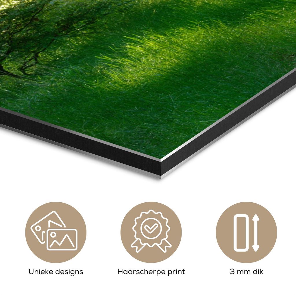 MuchoWow Wanddekoration Metall Metallbild Wandkunst 100x150 cm Natur - Bäume - Wald - Grün - Sonne - Gras - Pflanzen MuchoWow Aluminium Gemälde ...