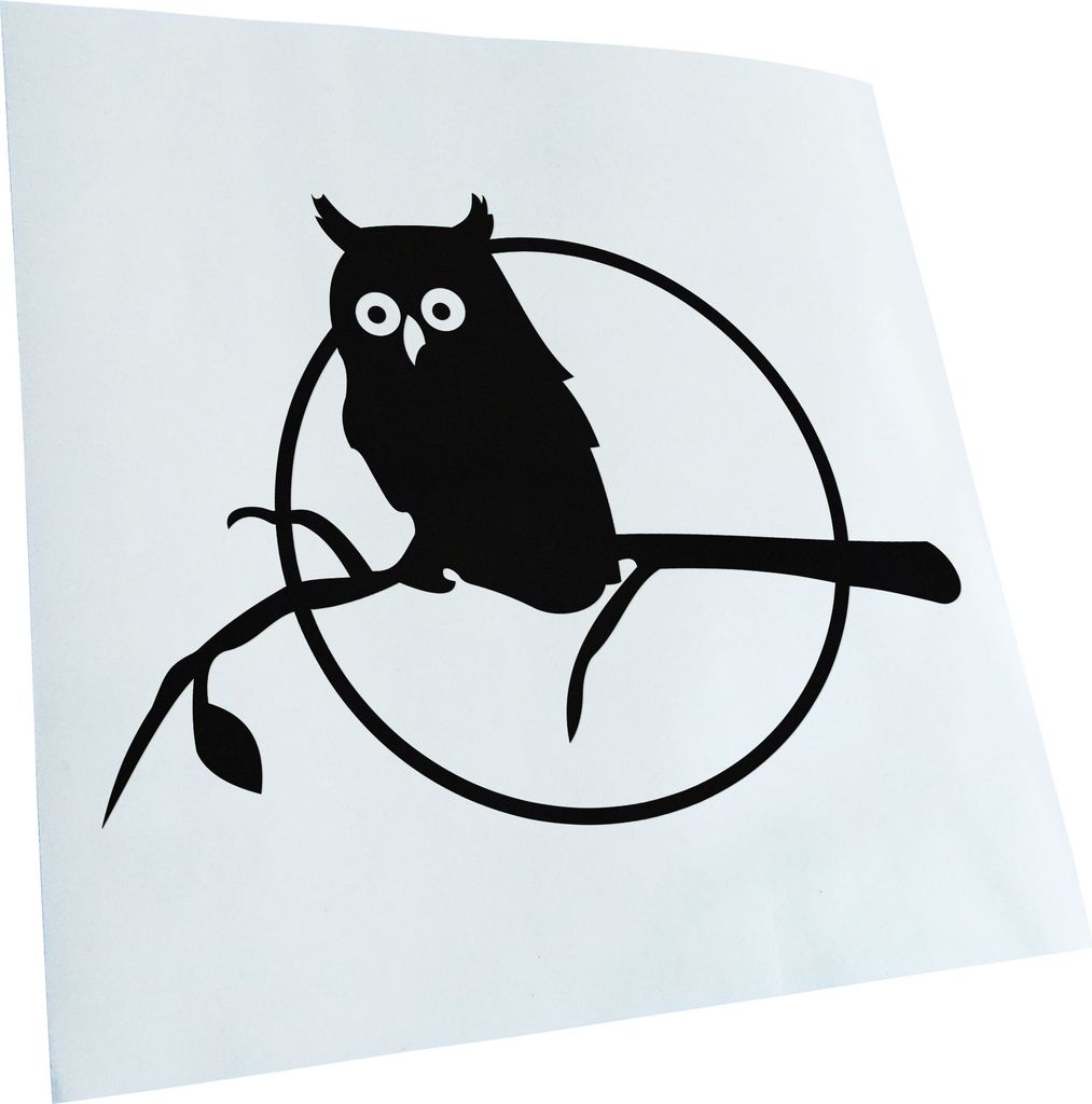 hauptsachebeklebt Kiwistar - Autoaufkleber - Eule auf einem AST - Owl on a Branch Heckscheibe - Aufkleber für Auto Kfz Fahrrad, LKW, Truck Mofa