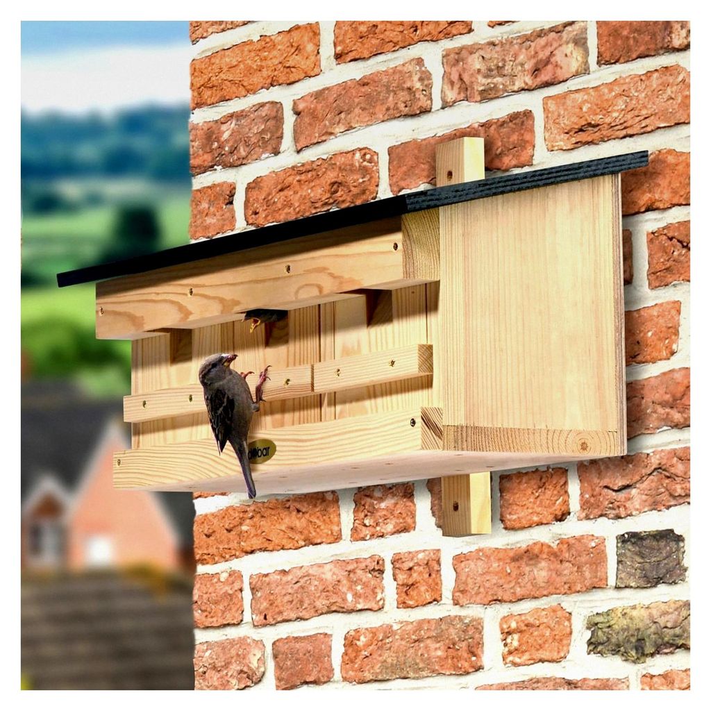 Spezial-Nistkasten für Spatzen - 3 in 1 Nisthilfe aus Holz mit wasserabweisendem Flachdach - mit Reinigungsklappen - Kiefer - 50 x 22 x 30 cm - Du...