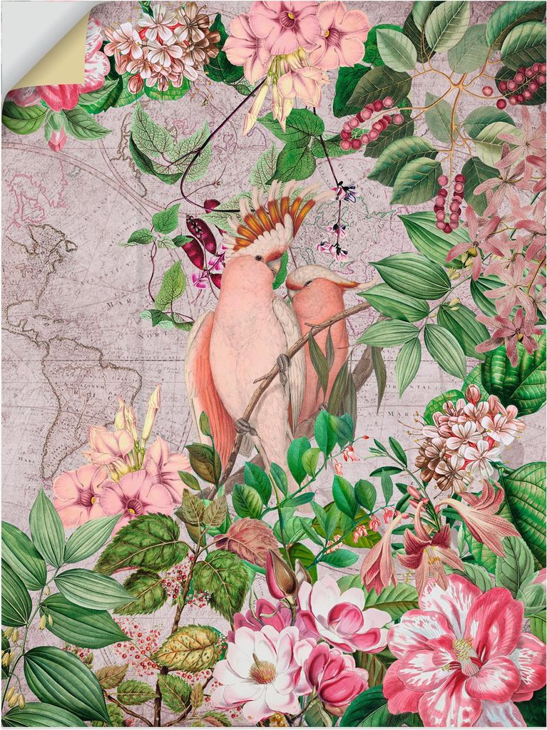 ARTland Wandbild, selbstklebend Kakadu im exotischen Tropen Garten Größe: 45x60 cm