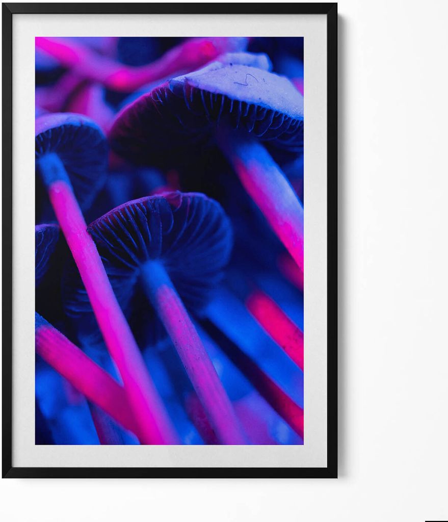 Magische farbige Pilze– Wandbild mit Rahmen – Gerahmtes Bild – Wanddekoration – 70x100 cm – Schwarz Rahmen