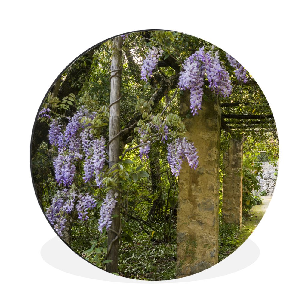 MuchoWow Aluminium Wandkreis Glyzinie in einem schattigen Pfad Ø 60 cm Wanddeko Modern Wohnzimmer - Wand Kreis - Wandbild - Schlafzimmer - Alumi...