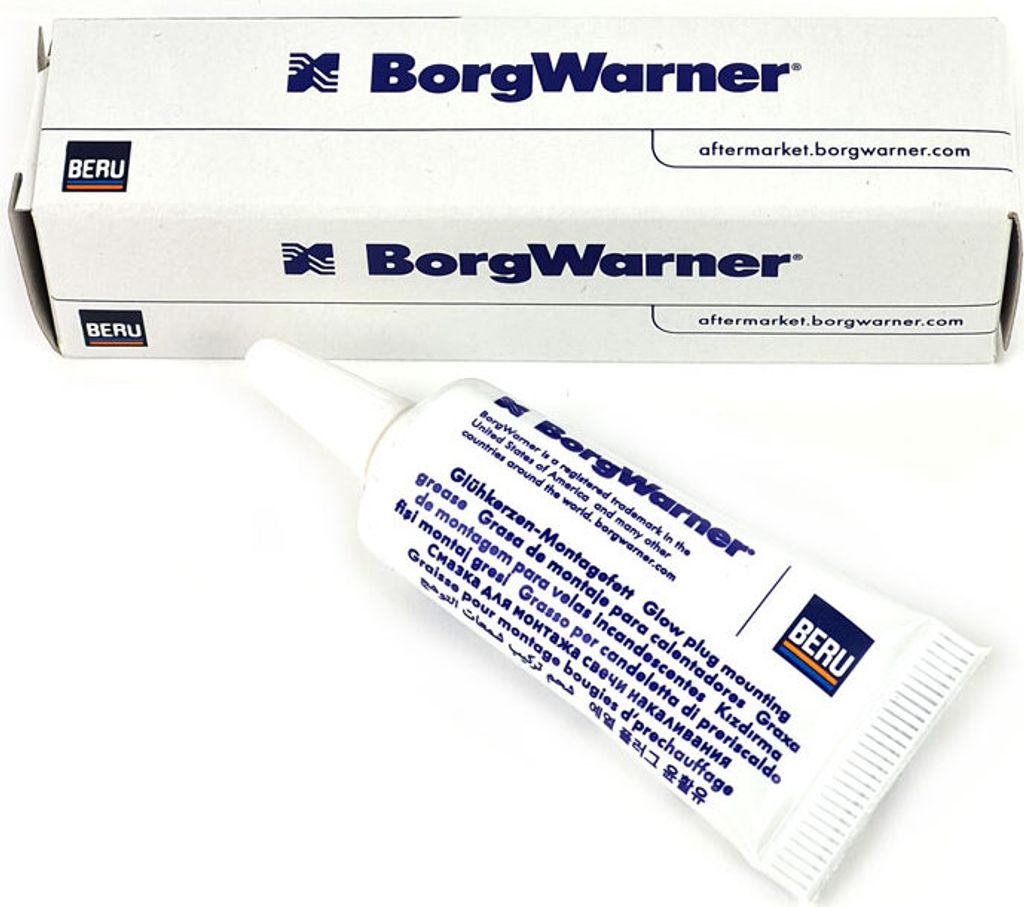 Graisse spéciale BORGWARNER (BERU) E6998902897A1 Image du produit 