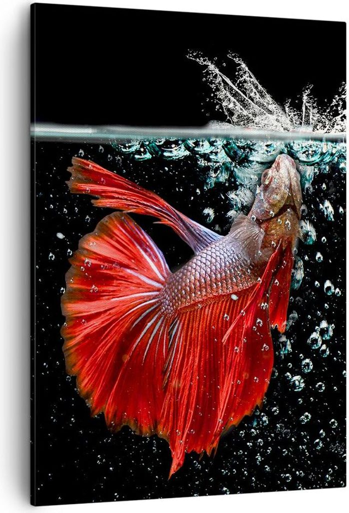 Bild auf Leinwand - Leinwandbild - Einteilig - Fisch Wasser Natur - 50x70cm - Wand Bild - Wanddeko - Wandbilder - Leinwanddruck - Wanddekoration - ...