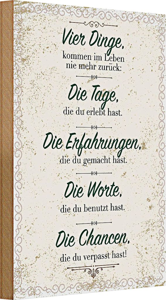 Holzschild Spruch Vier Dinge kommen nie zurück 20x30cm