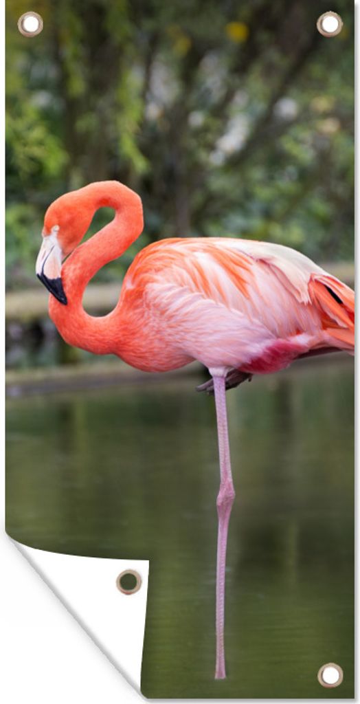 MuchoWow 80x160 cm Outdoor-Poster Gartendeko Sichtschutz Garten Poster für den Garten Ein Flamingo steht auf einem Bein im Wasser