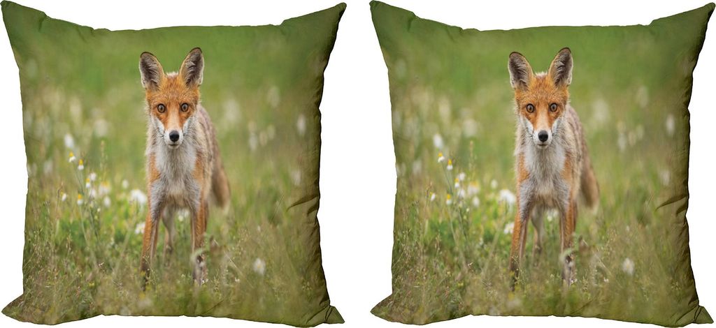 ABAKUHAUS Fuchs Kissenbezug Set (2Stück), Foto von einem Jungen Neugierige Red Coyoten auf dem grünen Wiese, 40 x 40 cm, Olivgrün Zimt