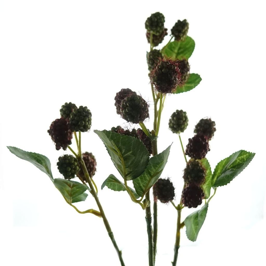 Kunstblume Himbeerzweig grün-rot 68 cm Produktbild 