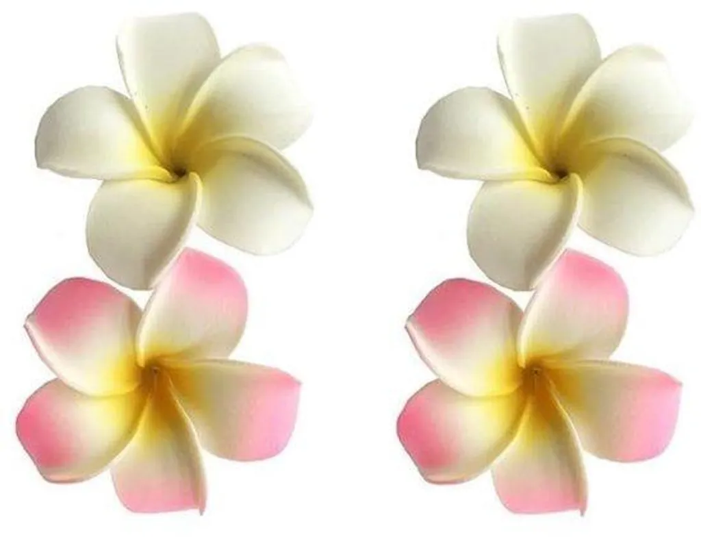 Lot de 2 barrettes bec de canard courbées noir et marron pour femmes