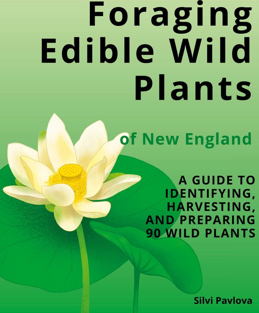 Foraging Edible Wild Plants of New England