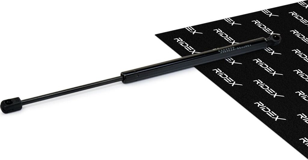 RIDEX 219G0439 Gasfeder Heckklappendämpfer für HYUNDAI ATOS Produktbild 