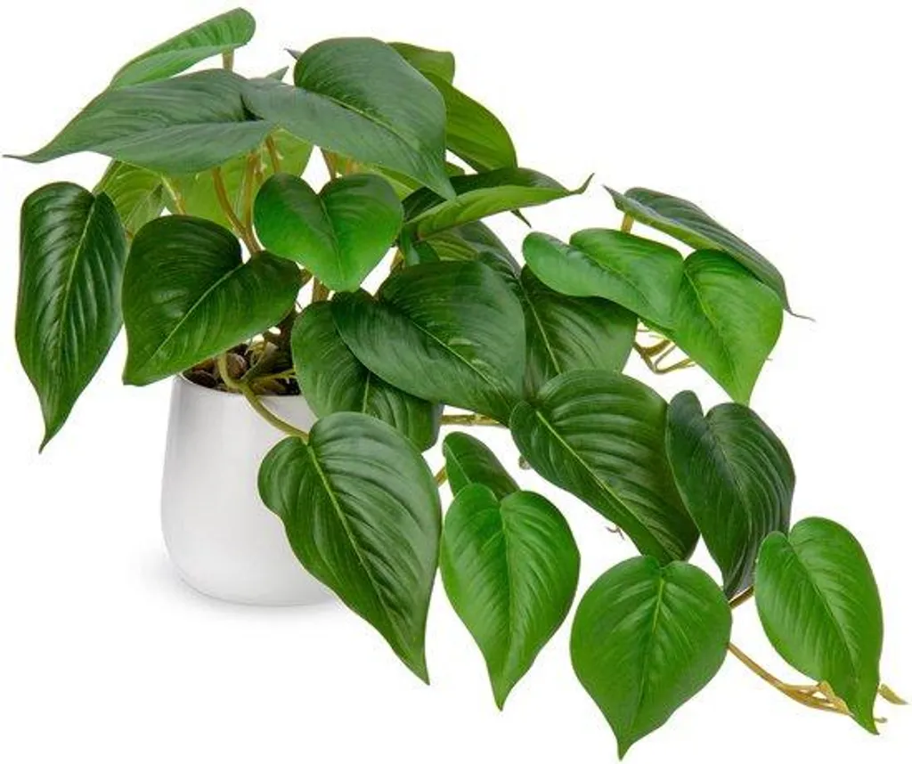 Plantes en céramique haut de gamme - Design minimaliste pour le salon