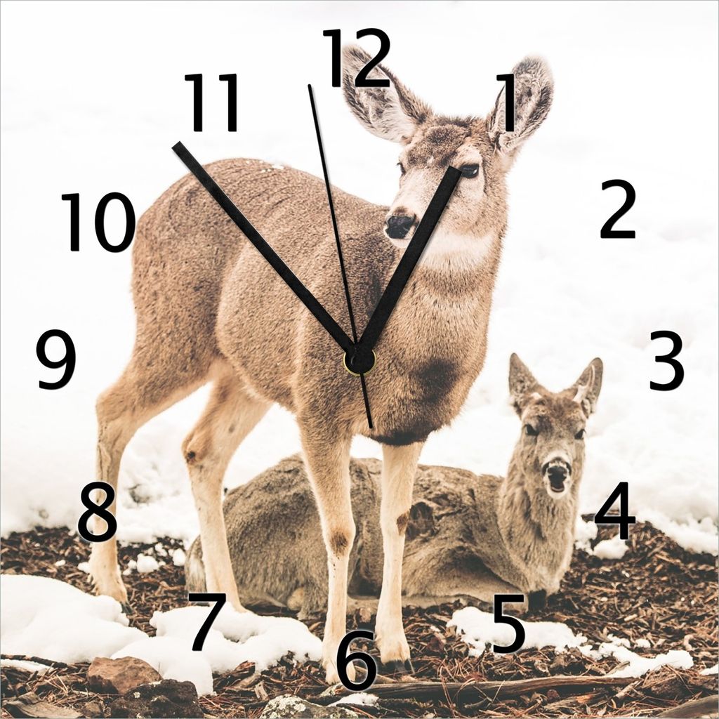 Wallario Design Wanduhr Junge Elche im Schnee in Arizona - Amerika aus Echtglas, Größe 30 x 30 cm