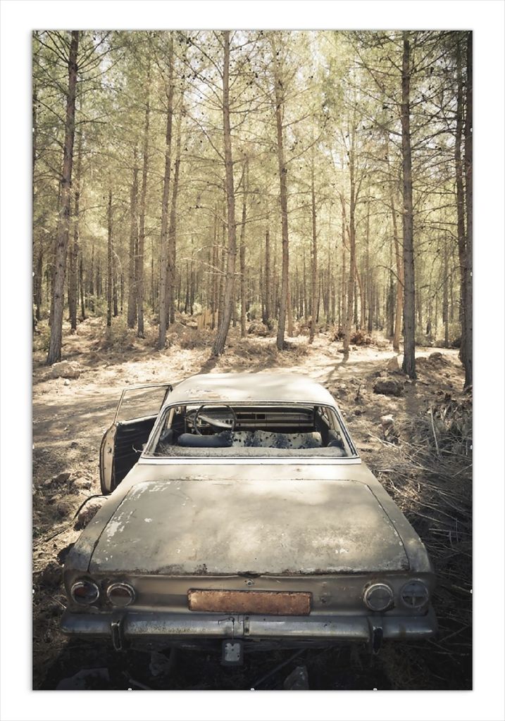 Wallario Wandbild Verrosteter Oldtimer im Wald, Größe: 61 x 91,5 cm, Poster mit rahmenlosen Bildhalter