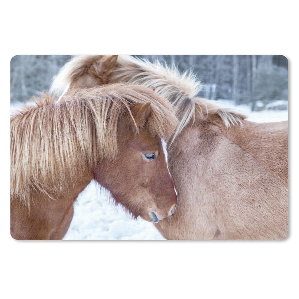 MuchoWow Schreibtischunterlage Pferde - Fohlen - Schnee 60x40 cm - XXL Mauspad - Großes Mauspad