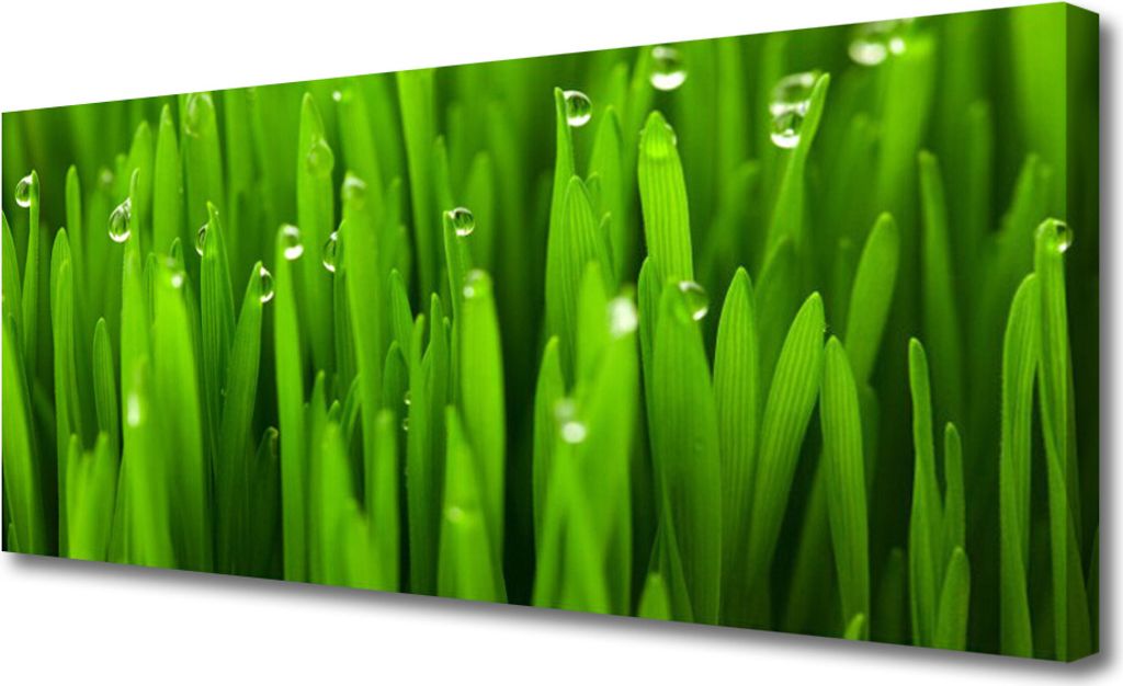 Tulup Leinwand-Bilder 125x50 Wandbild Canvas Kunstdruck Gras Natur