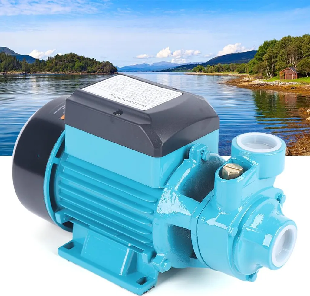 Pompe à eau 370W 220V avec conception à tourbillon efficace débit stable