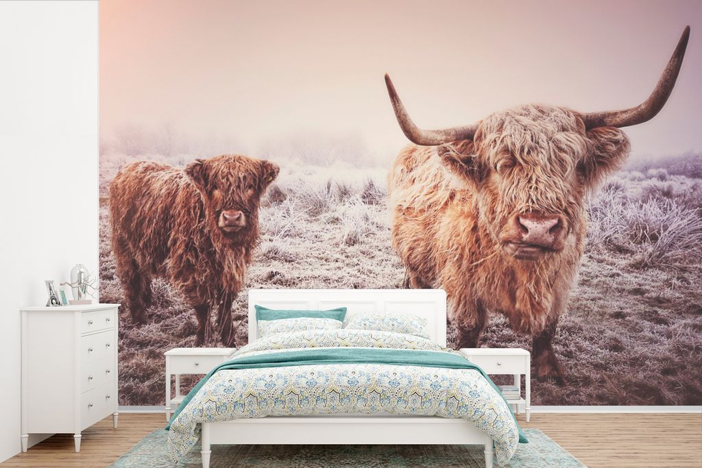 MuchoWow Fototapete für Wohnzimmer oder Schlafzimmer Wandtapete Vinyl Motivtapete Schottische Highlander - Schnee - Sonne - 420x280 cm - Zimmer ...