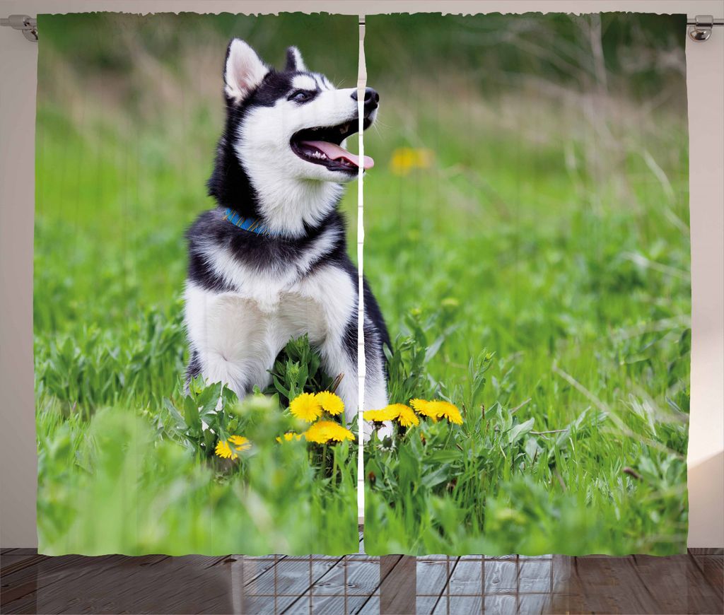 ABAKUHAUS Alaskan Malamute Rustikaler Gardine, Welpen auf Gras, Schlafzimmer Kräuselband Vorhang mit Schlaufen und Haken, 280 x 245 cm, Mehrfarbig
