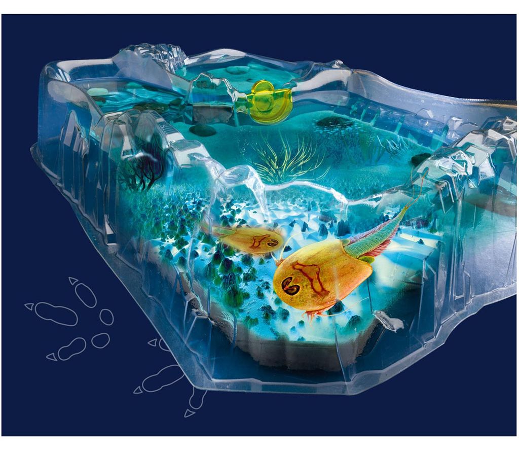 Fun Science Triops züchten Produktbild 