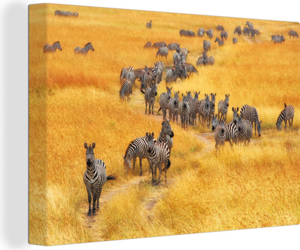 OneMillionCanvasses - Leinwandbilder - 140x90 cm, Herde Zebras in freier Wildbahn, Wandbilder Kunstdruck Wanddekoration
