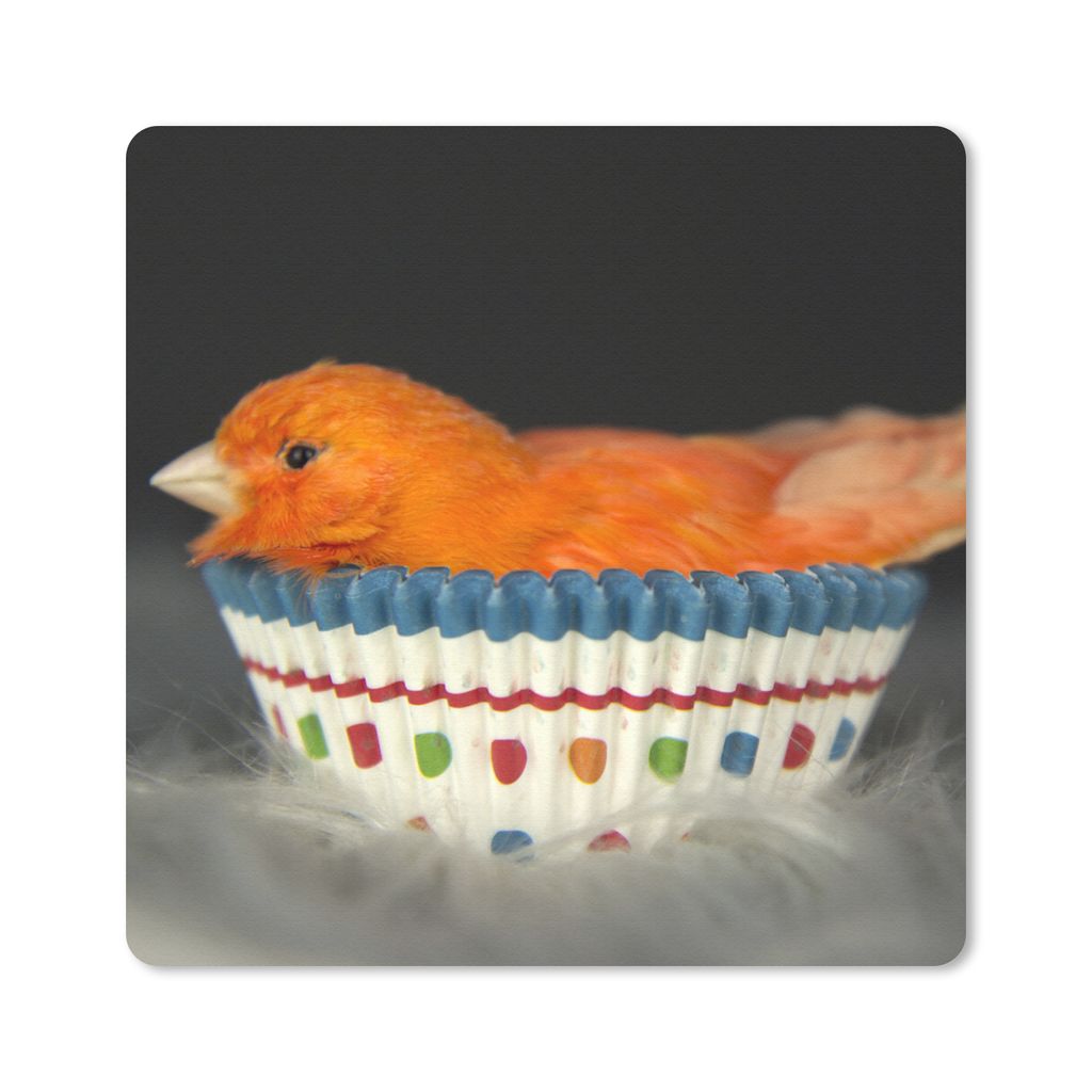 MuchoWow Mauspad Mousepad Vogel - Muffinförmchen - Portrait 30x30 cm - Mousepads - Maus Mat - Pad - Mausunterlage