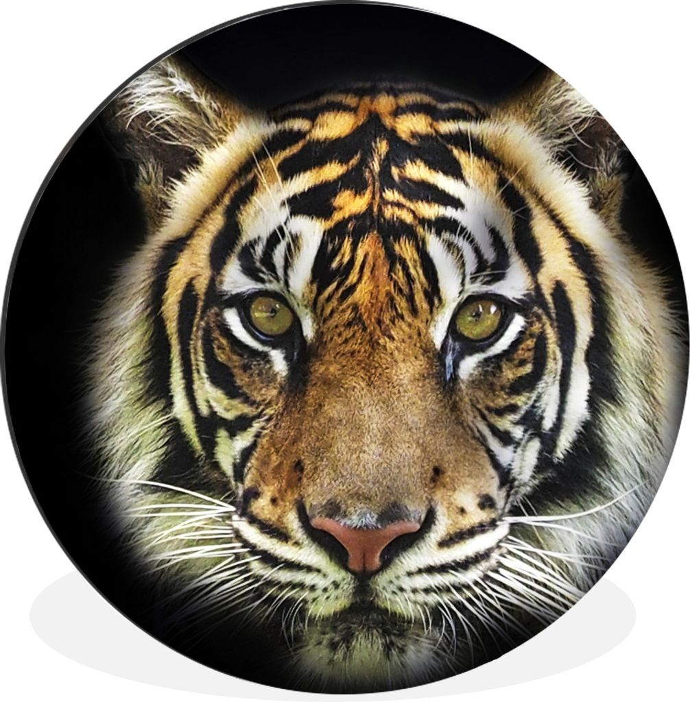 MuchoWow Aluminium Wandkreis Tiger - Tierkopf - Schwarz Ø 30 cm Wanddeko Modern Wohnzimmer - Wand Bild - Wohnzimmer - Runde Bilder - Alubilder -...