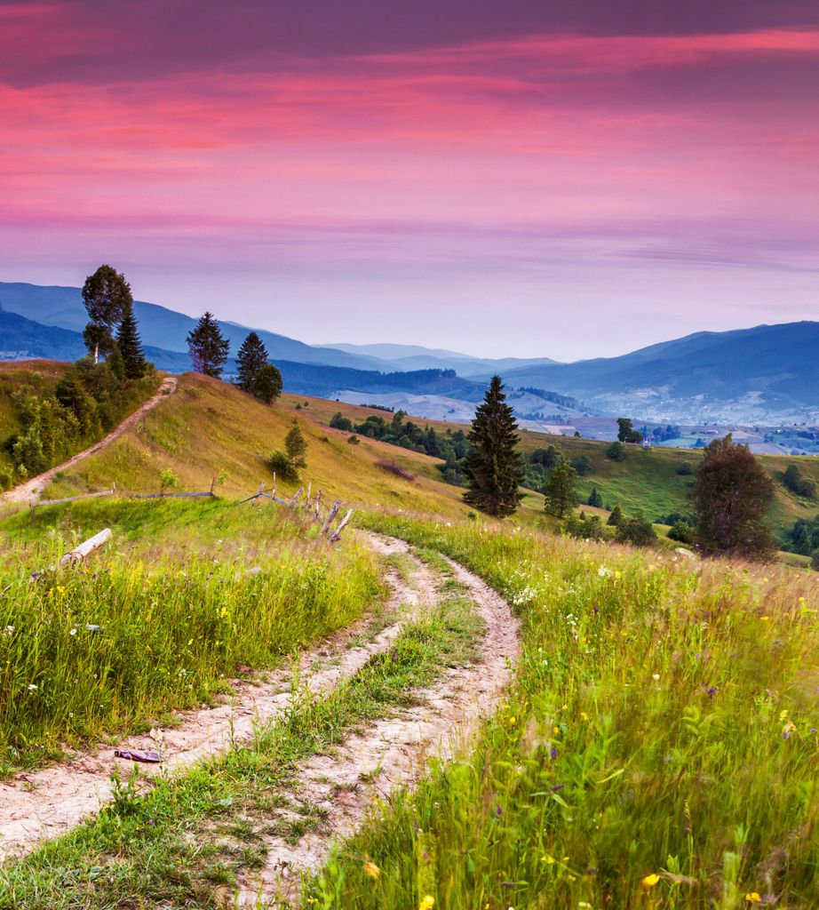 Fototapete - Blooming Hills 225x250cm - Vliestapete