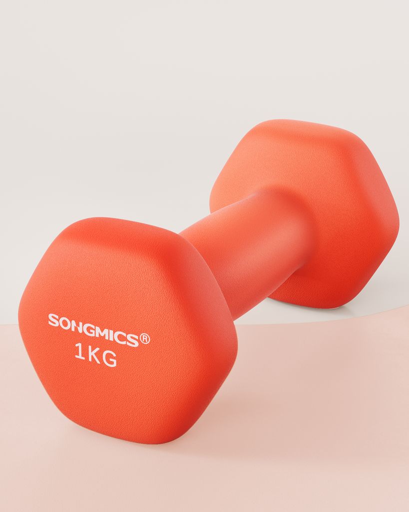 SONGMICS činky, sada 2 kusů, 2 x 1 kg, sada činek, Obrázek produktu 
