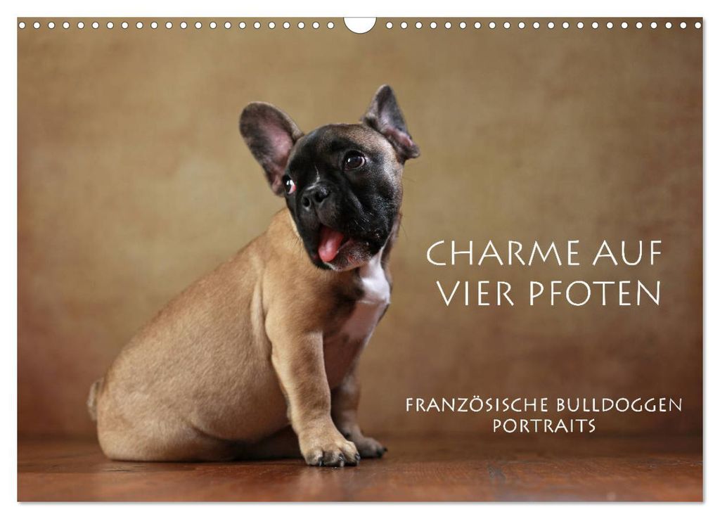 Charme auf vier Pfoten - Französische Bulldoggen Portraits (Wandkalender 2027 DIN A3 quer), CALVENDO Monatskalender