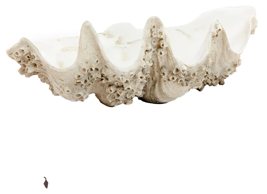 Light & Living SHELL Décoration Taupe et Crème 52x28x18 cm Objet d'Art