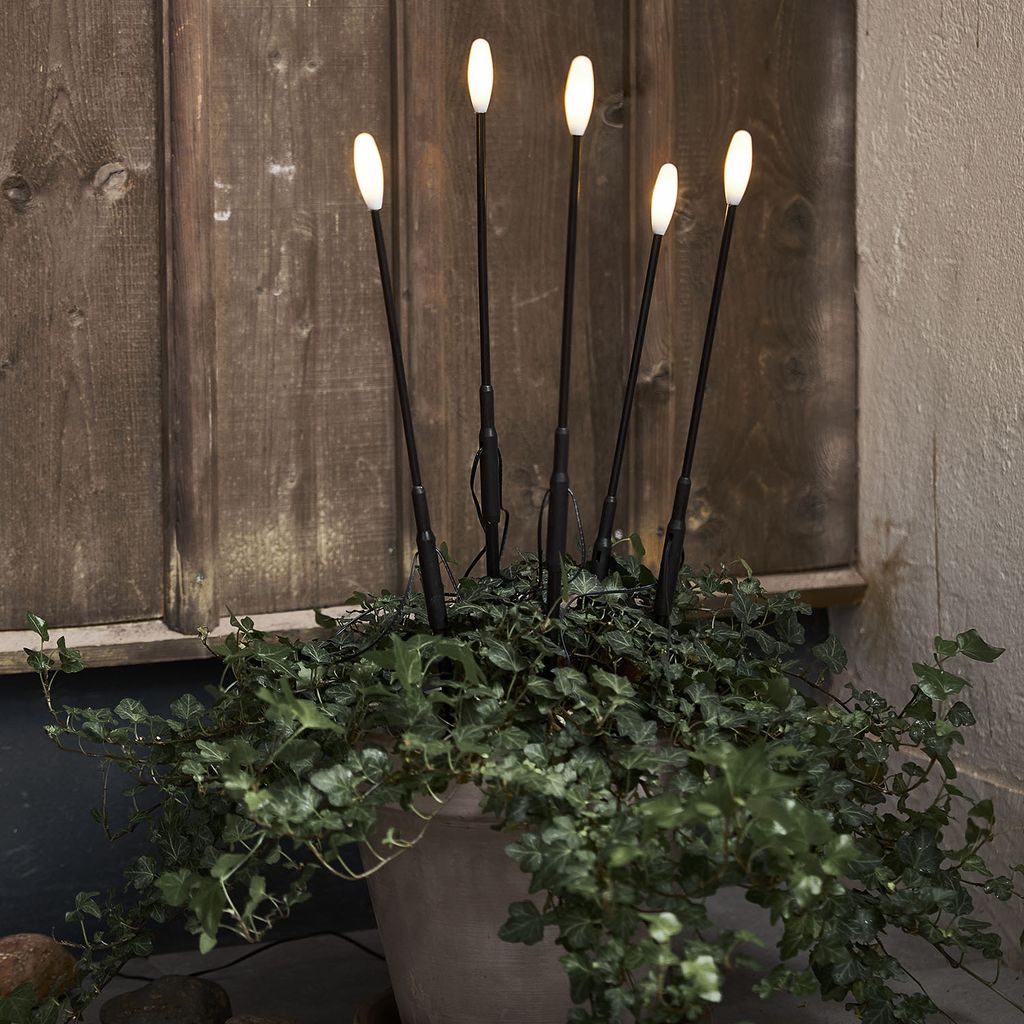 Five LED lights on black stems are planted in a pot of ivy in front of a wooden wall.