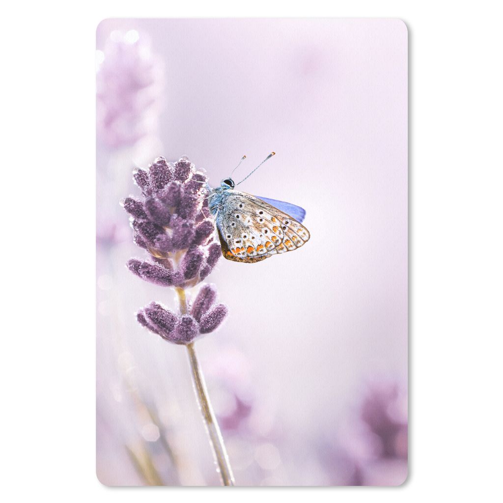 MuchoWow Mauspad Mousepad Lavendel - Schmetterling - Nahaufnahme - Lila 40x60 cm - Mousepads - Maus Mat - Pad - Mausunterlage - Schreibtisch Acce...