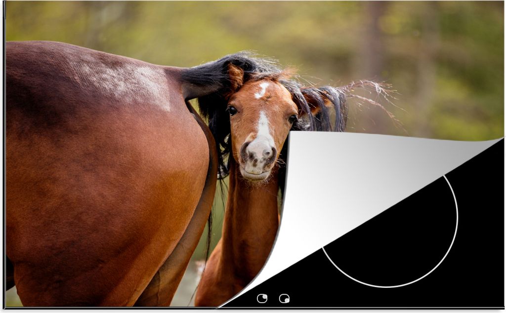 KitchenYeah Herdabdeckplatte Pferde - Natur - Braun , 80x52cm, Küche Deko, Glaskeramikfeld Herdabdeckung, Abdeckplatte fùr Kochfeld