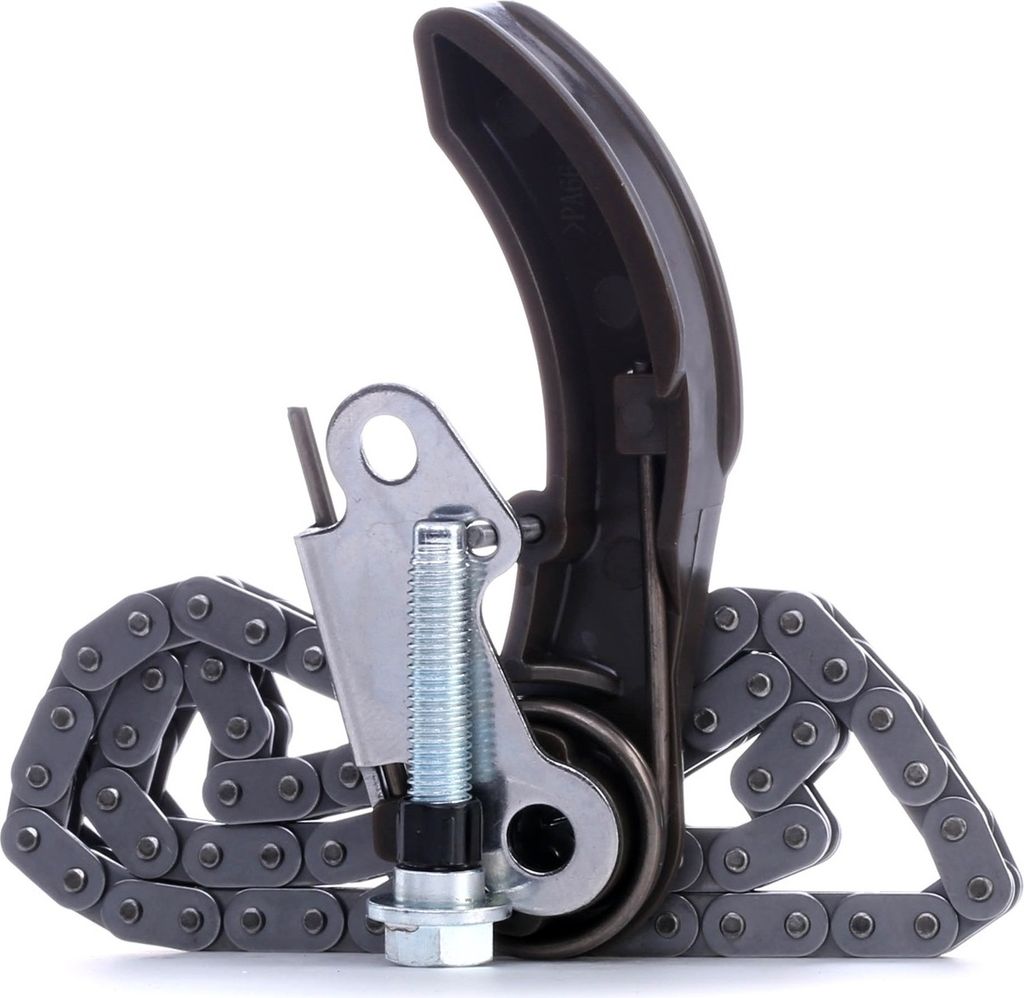 RIDEX 6138C0013 - OE 55573876 Kettensatz, Ölpumpenantrieb für Astra J, Astra K, Insignia A (G09), Insignia B (Z18), Meriva B (S10), Mokka X (J13)...