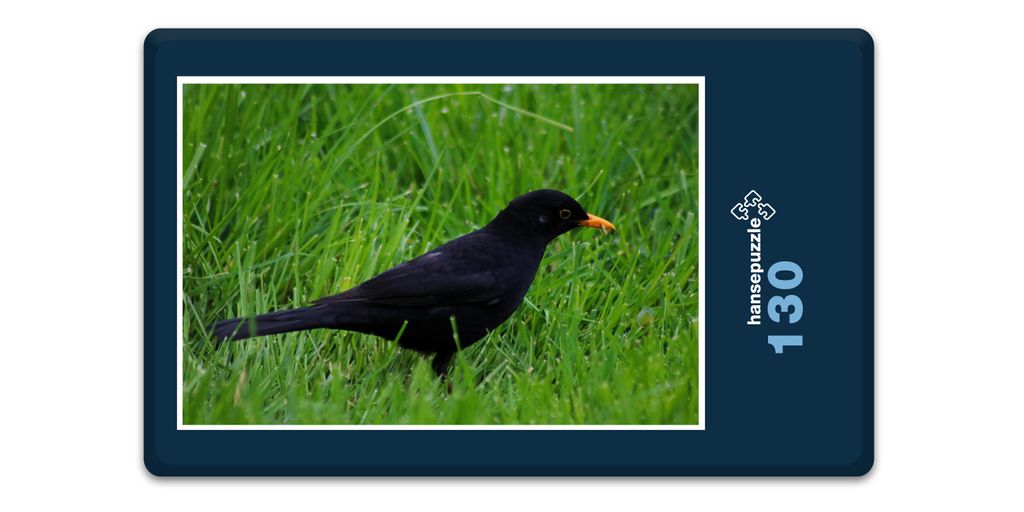 hansepuzzle 17843 - Vogel im Gras Puzzle, 130 Teile, Tierwelt, 28,7 x 20,0cm mit hochwertiger Aufbewahrung, Kartonbox & Beutel