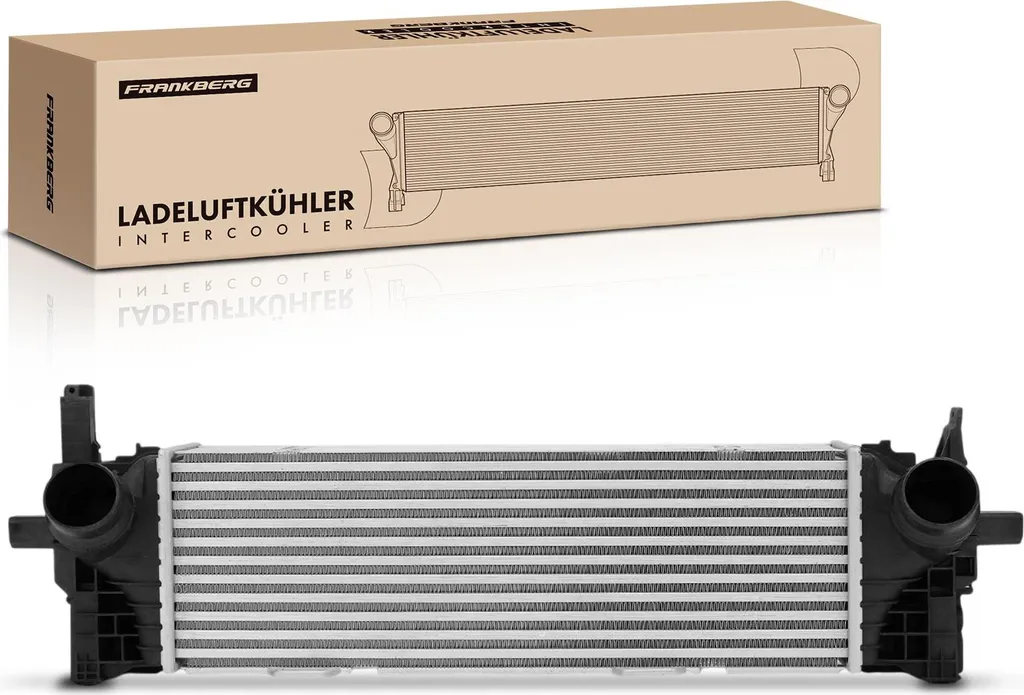 Refroidisseur d'Air de Suralimentation pour BMW X5 xDrive25d et X7 G07