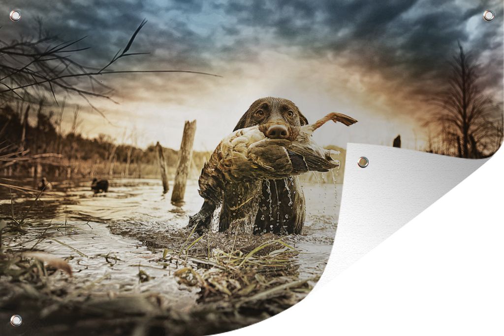 MuchoWow 60x40 cm Outdoor-Poster Gartendeko Sichtschutz Garten Poster für den Garten Ein Hund vollendet seine Jagd mit einer Ente im Maul