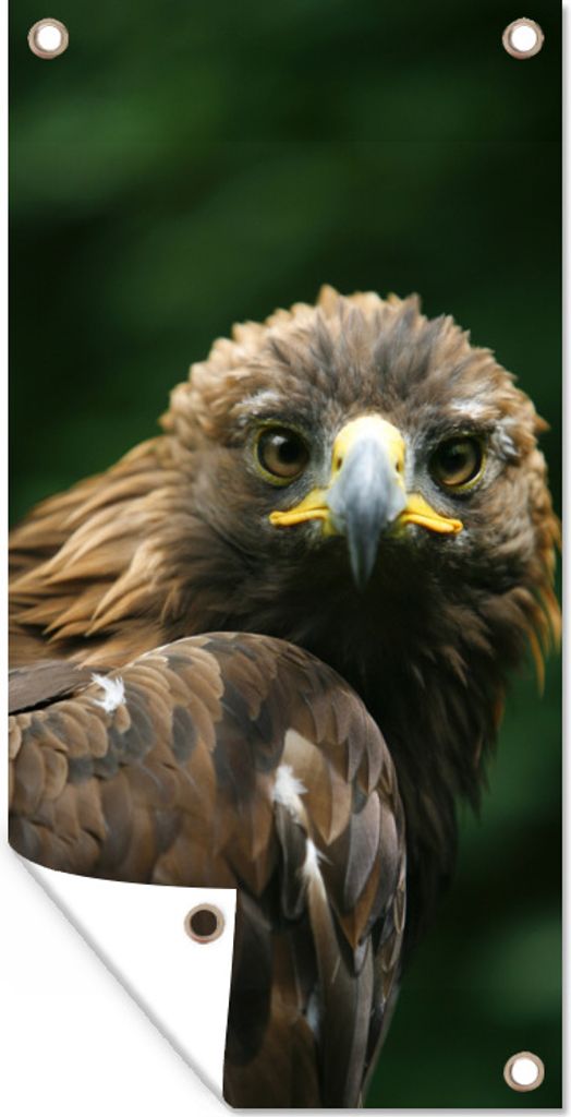 MuchoWow 30x60 cm Outdoor-Poster Gartendeko Sichtschutz Garten Poster für den Garten Adler - Braun - Raubvogel