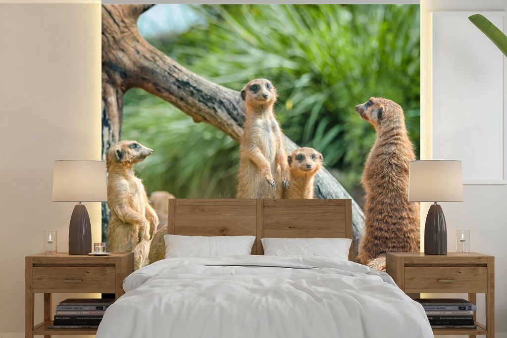 MuchoWow Fototapete für Wohnzimmer oder Schlafzimmer Wandtapete Vinyl Motivtapete Familie - Tiere - Erdmännchen - 240x240 cm - Schlafzimmer-Tapete