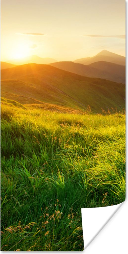 MuchoWow Poster Gras - Hügel - Sonne - Natur - Landschaft 20x40 cm - Plakat - Foto