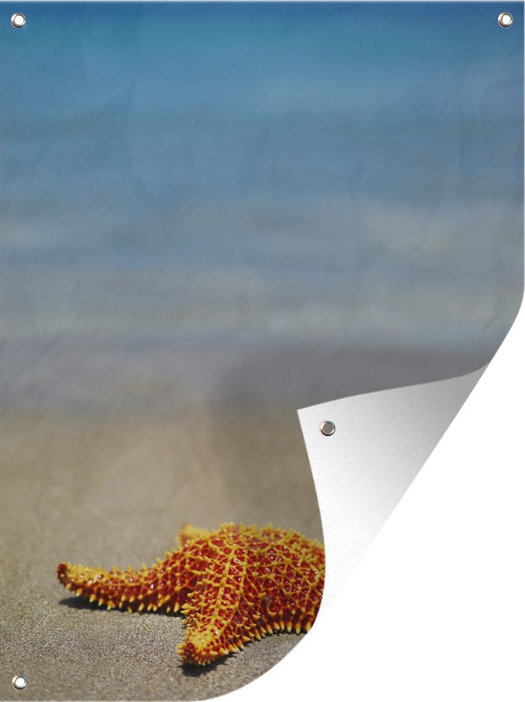 MuchoWow 60x80 cm Outdoor-Poster Gartendeko Sichtschutz Garten Poster für den Garten Seestern - Orange - Strand