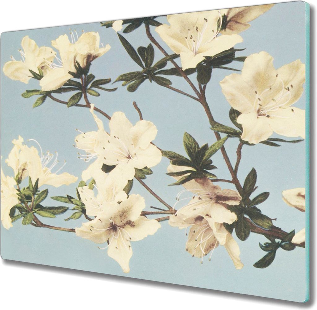 Coloray Herdabdeckplatte 60x52 cm Schneidebrett Kochplattenabdeckung Küchenbrett Hackbrett - japanische Azaleen