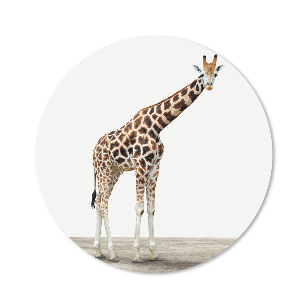 MuchoWow Mauspad Mousepad Giraffe - Tiere - Weißer Hintergrund - Kinder - Junge - Mädchen 40x40 cm - Mousepads - Maus Mat - Pad - Mausunterlage...