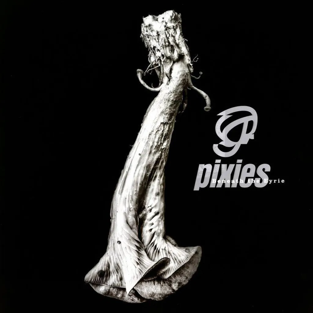 Pixies Beneath the Eyrie Vinyle LP 180g Son Haute Fidélité et Design