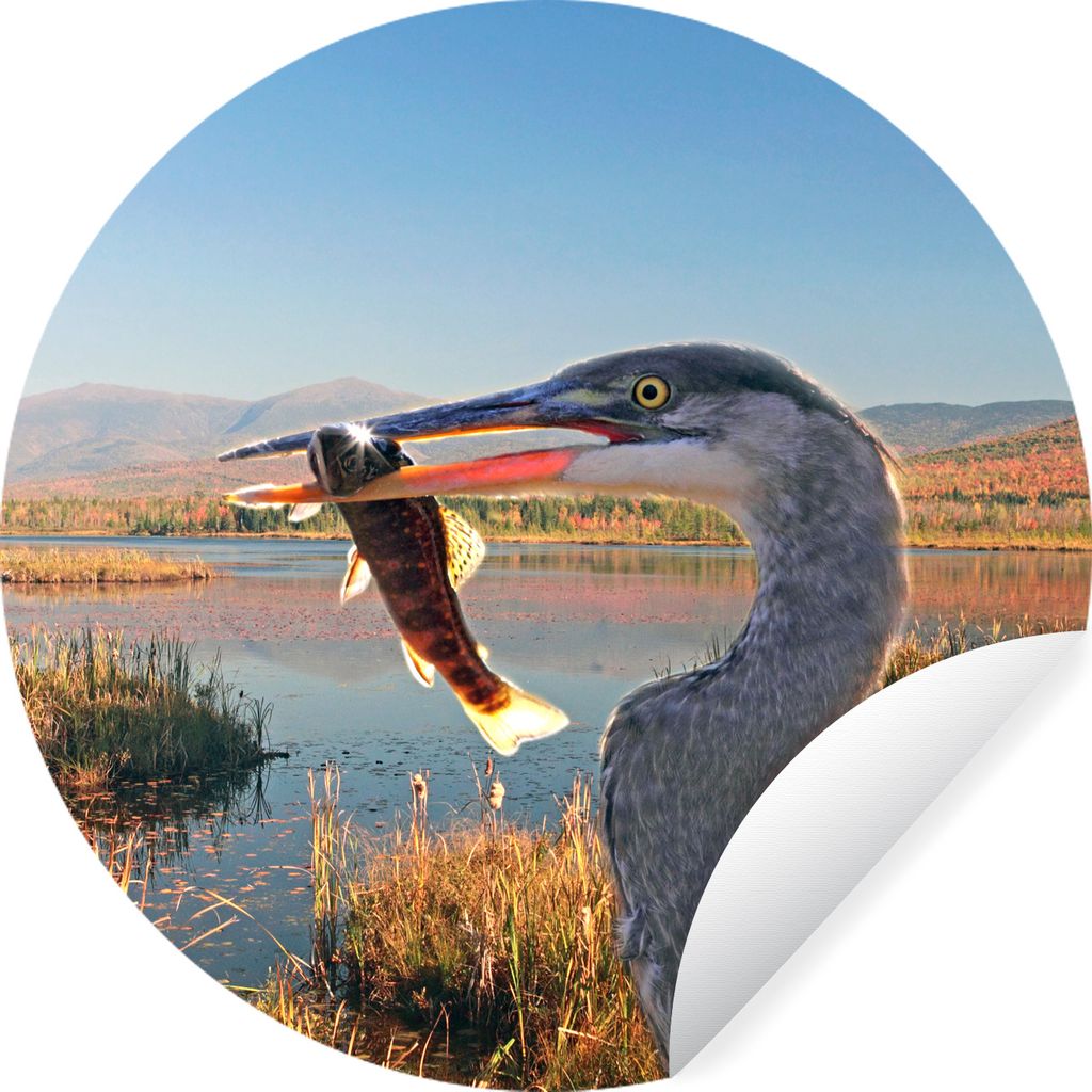 MuchoWow Runde Wandtattoo - Wandsticker Tapete Aufkleber Vogel - Fisch - Wasser - Herbst Ø 50 cm Selbstklebend und Repositionierbar - Wandaufkle...