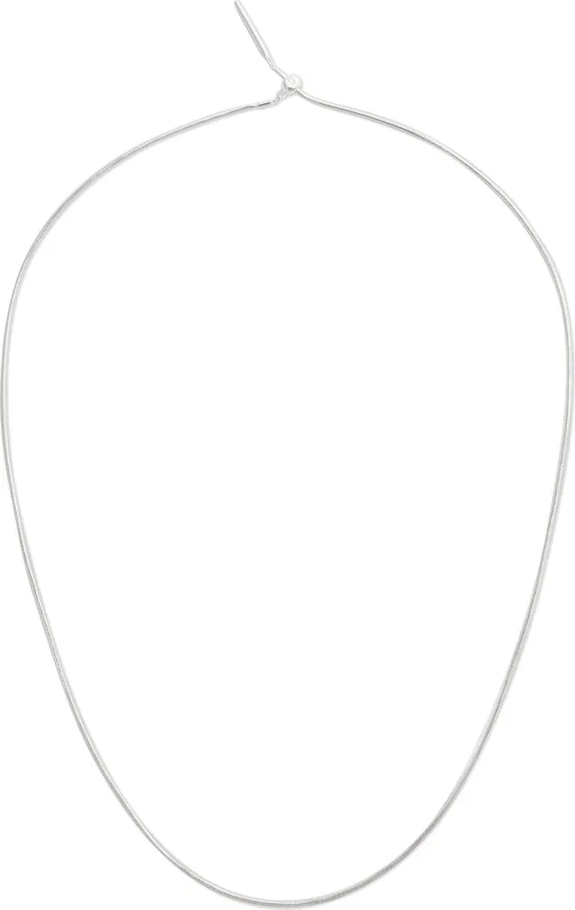 Daniel Wellington Chaîne à breloques serpent argent DW00401048 chic